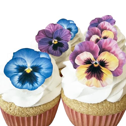 Sugar Robot Blue (Blue / Flower)
