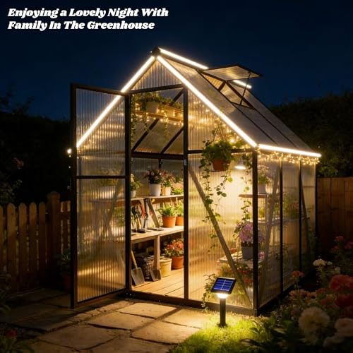 6x6FT Outdoor Polycarbonate Greenhouse with Roof Vent (Dark Gray / 6×6FT)