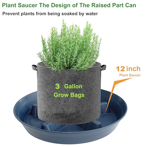 4 Pack Plant Saucer 12 inch (12"-4 Pack / Blue)