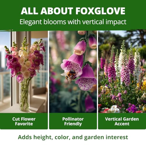 Foxglove Mix 148