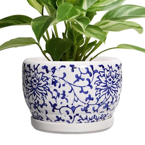 Ceramic Pots for Plants