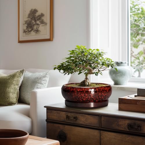 Bonsai Tree Pots (10 Inch / Leopard Red)
