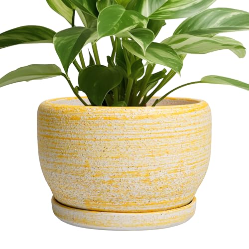Ceramic Flower Pots