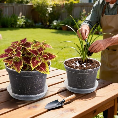 12 Pack 8 Inch Clear Plant Pots with Saucers (Clear / 8 Inch 12 Pack)