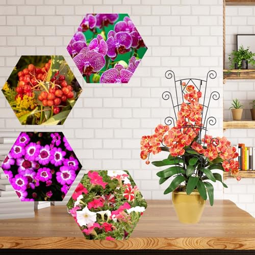 4 Pack Stackable Metal Plant Trellis for Climbing Plants Outdoor