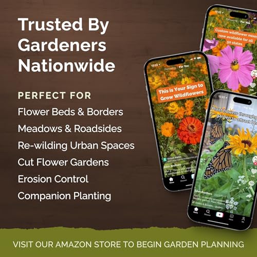 Zinnia Seeds Dahlia Flowered Mix (Packet / Dahlia Flowered Zinnia Mix)