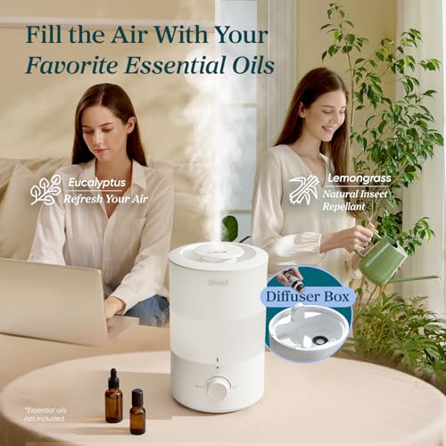 Humidifiers for Bedroom
