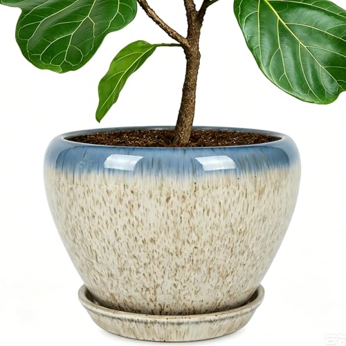 10 Inch Plant Pot (Beige&blue / 10 Inch)