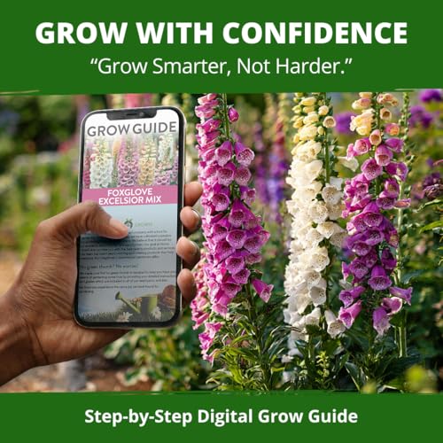 Foxglove Mix 148