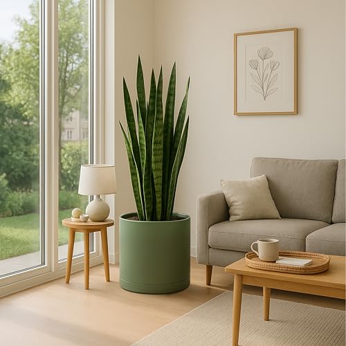 Plastic Planter Pot with Saucer (16 Inch / Olive)