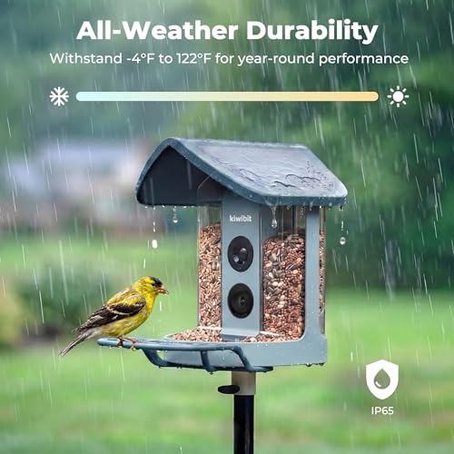 Solar Smart Bird Feeder with Camera