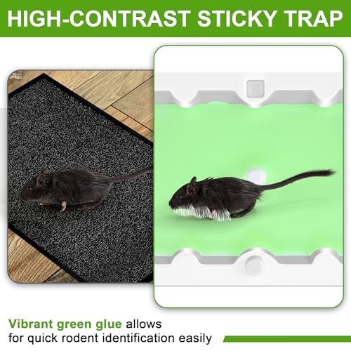 6 Pack Mouse Glue Trap (6 Count)