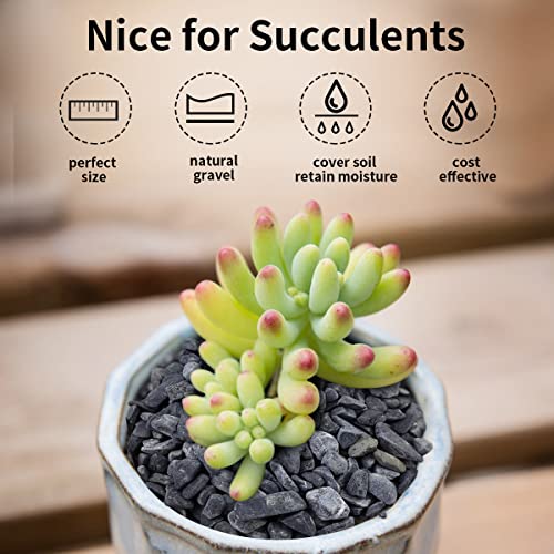 2 lbs Black Gravel for Plants (32 Ounce)
