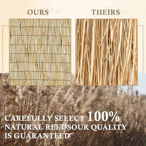 Natural 6FT X16.4FT Reed Fencing Roll Bamboo Privacy Fence Screen