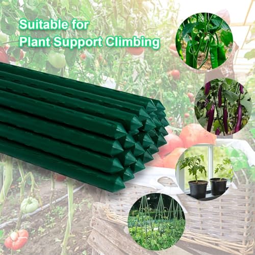 30pcs Steel Plant Stakes 2 Feet (2Ft, Pack of 30)