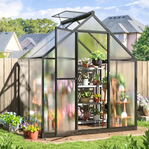 4x6 FT Walk in Polycarbonate Greenhouse for Outdoor (Black / 4x6 FT)