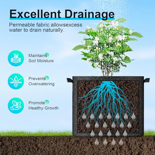 10 Pack Fabric Grow Bags 5 Gallon (Black / 5 Gallon)
