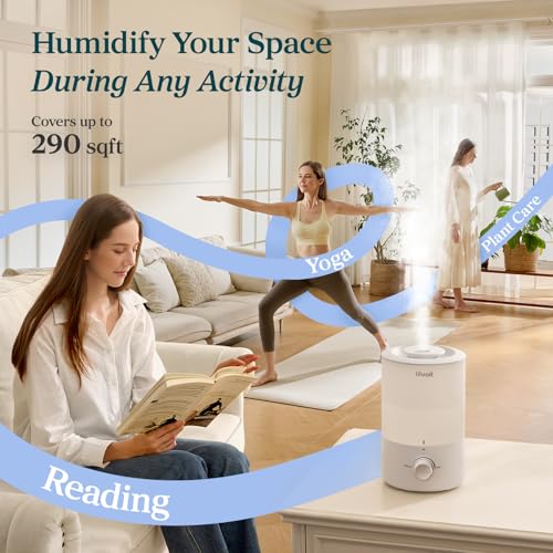 Humidifiers for Bedroom