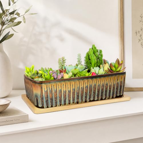 Succulent Pots (Flow Glaze)