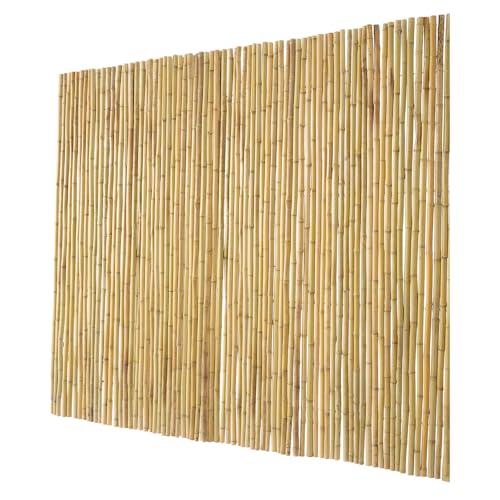 Natural Rolled Bamboo Fence (Rolled Fence / 6Ftx8Ft)