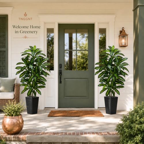 Artificial Dracaena Tree (Dark Green – Black Pot / 5FT)