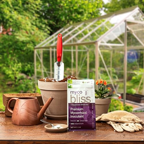 Worm Bliss 1 Qt (Bundles / Granular)