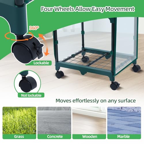 Mini Greenhouse for Indoor Outdoor