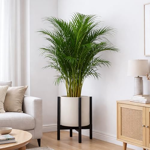Plastic Pot with Ebony Wood Stand (Oatmeal Pot + Ebony Stand / 12 Inch)