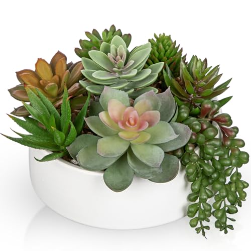 Artificial Succulent Plants in Pot 5.5 Inch Fake Succulents Arrangement (White Ceramic#style 2)