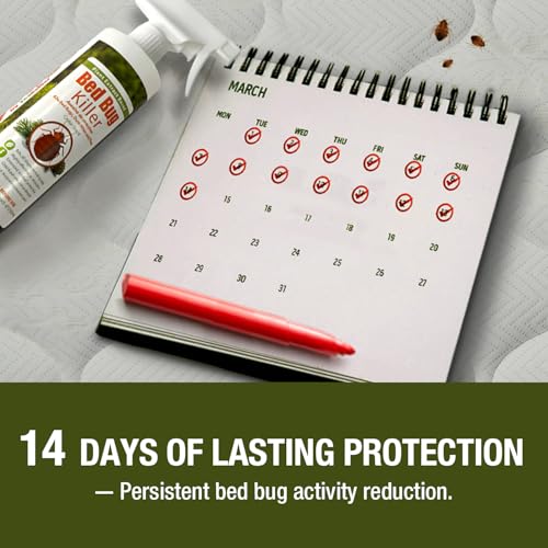 Bed Bug Killer 3 oz EcoVenger by EcoRaider (3 Ounce)
