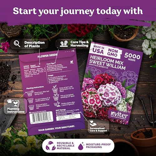 5 000 Mix Sweet William Heirloom Perennial Flower Seeds