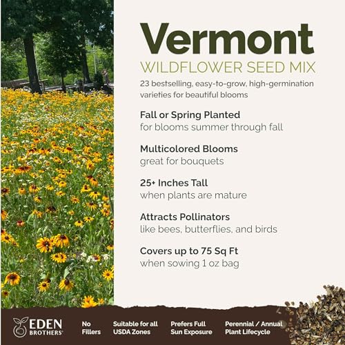 Vermont Wildflower Mixed Seeds for Planting (1 Ounce / Vermont Wildflower)