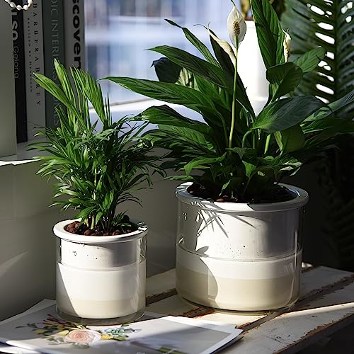 6 Inch 4 Inch Self Watering Planter Pots (4+6 Inch / White)