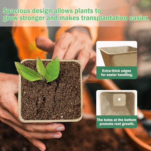 Peat Pots 165 Pack 3.15 Inch Seed Starter Pots for Seedlings (165 Pcs)