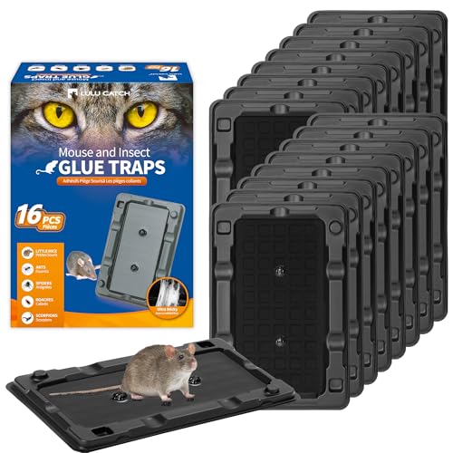 Mouse Traps 16 Pack Sticky Mouse Traps Indoor for Home (Small)