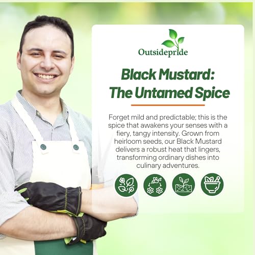 Black Mustard Seeds (5000 Count)