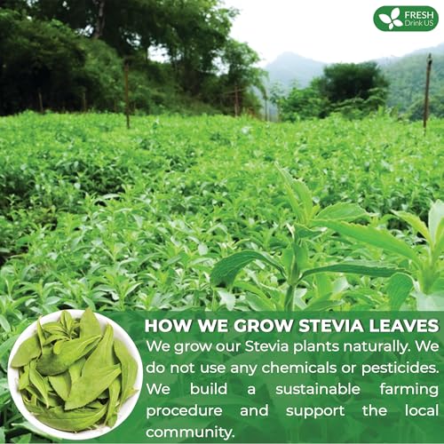 Premium 2.1 oz Natural Stevia Leaves (2.1 Ounce (Pack of 1))