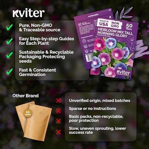 50 Tall Morning Glory Seeds Mix