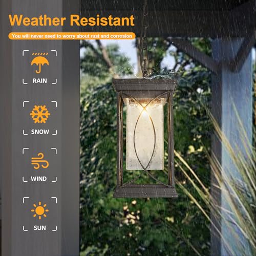 Motion Outdoor Pendant Light Fixtures Dusk to Dawn Exterior Ceiling Hanging Lantern for Porch (Black-L-PL)