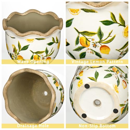Rustic Farmhouse Ceramic Plant Pots (Yellow & White Lemon Patterns)