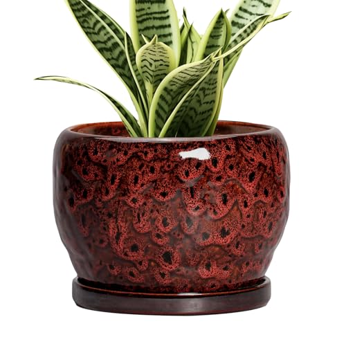 Ceramic Pot for Plants