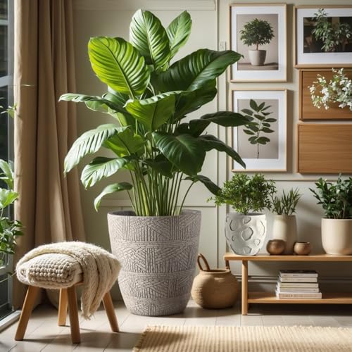 Round Concrete Style Planter Set of 3 (Sandstone)