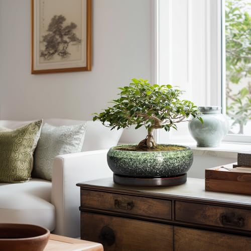 Bonsai Pots 10 Inch (10 Inch / Retro Green)