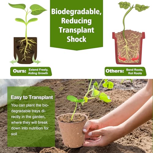 Peat Pots 60 Pack Plant Starter Round Nursery Pot with Drainage Holes (3.15 Inch)
