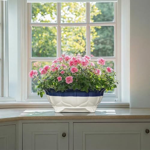 Ceramic Bonsai Tree Pots (13.5 Inch / Oval Beige-blue)