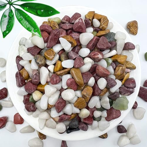 10 LB Natural Gravel Pebbles (10 Pounds / Colorful)