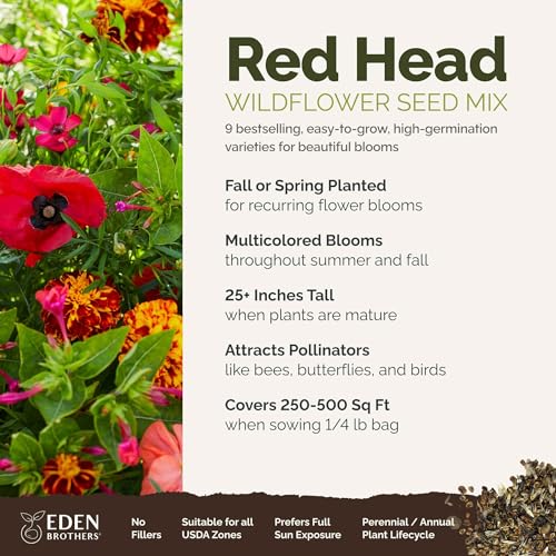 Red Head Wildflower Mixed Seeds for Planting (1/4 Pound / Red Head)