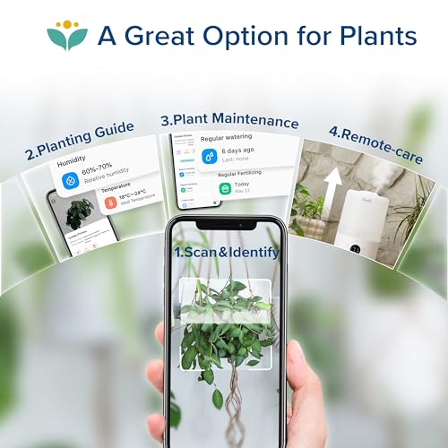 Smart Cool Mist Top Fill Humidifiers for Bedroom with Sensor