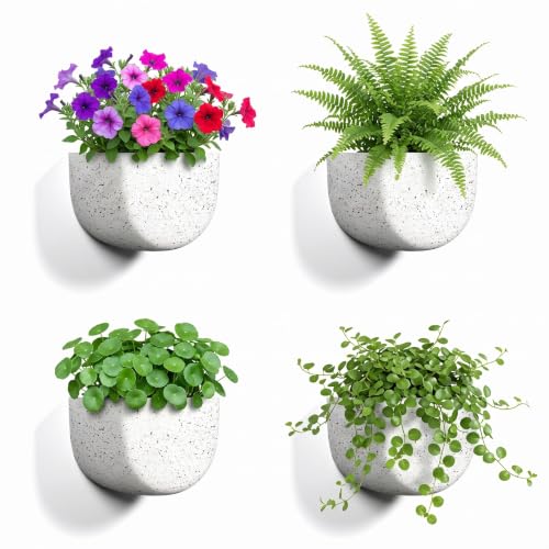2 Pack Indoor Wall Planter (2 Count)