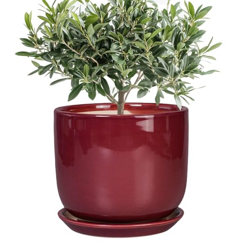 Ceramic Flower Pot for Plants